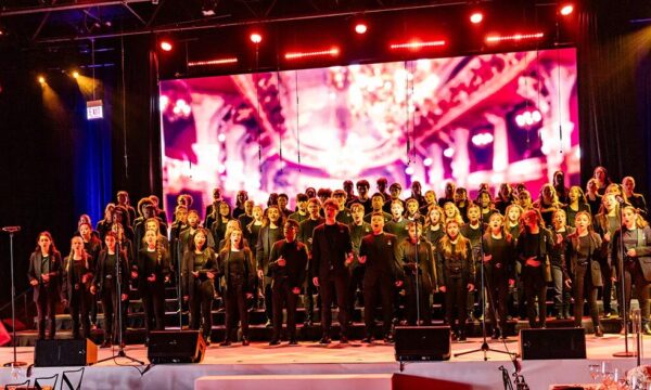 Stella corotis blog header